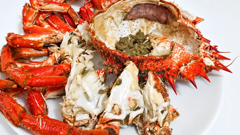 Cómo cocer una centolla, marisco,