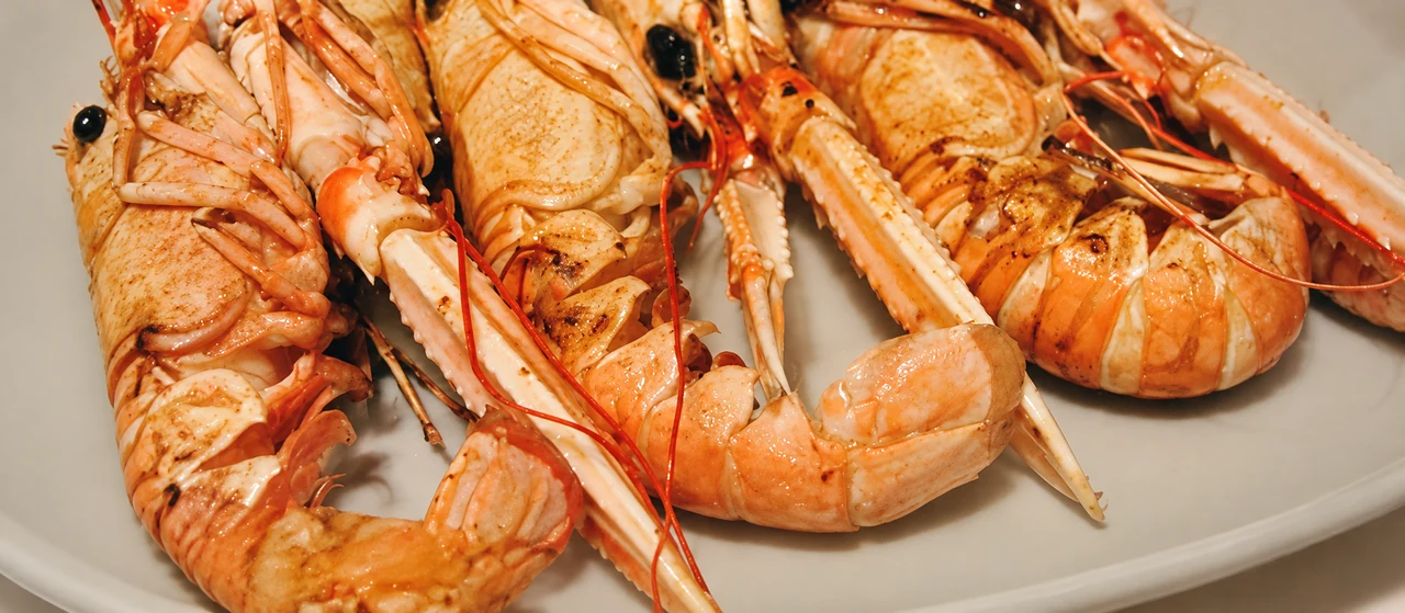 Cigalas a la plancha